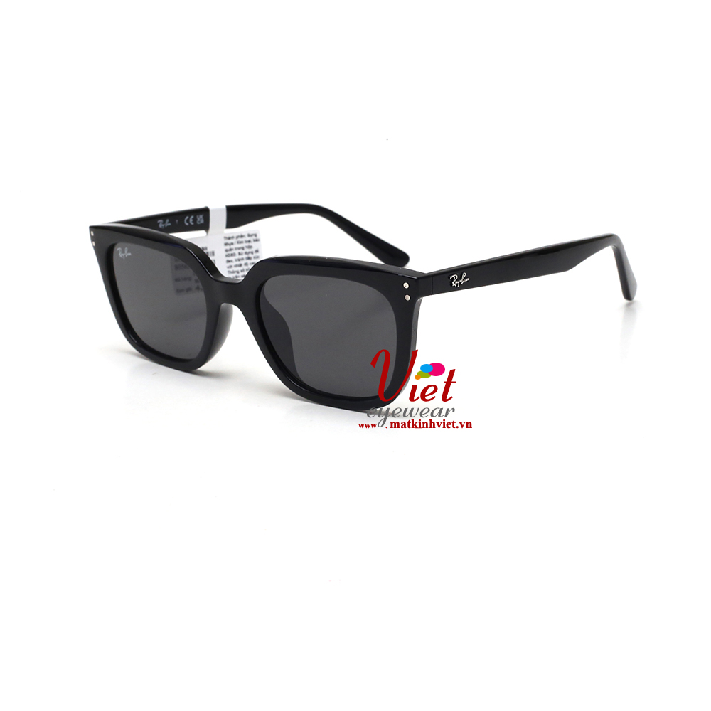 Kính mát RayBan RB4439D  901/87 